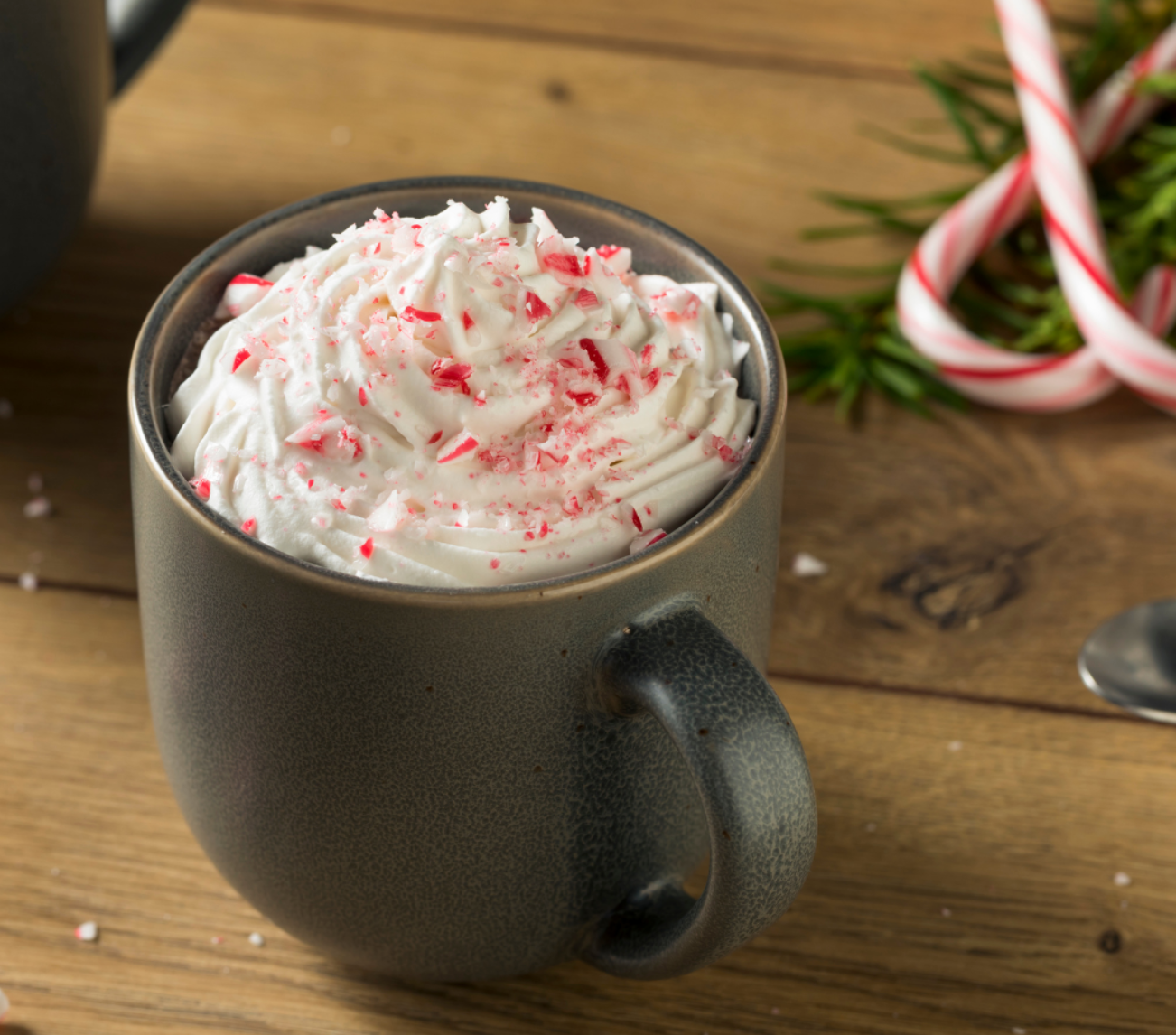 Plant Powered Peppermint Hot Chocolate
